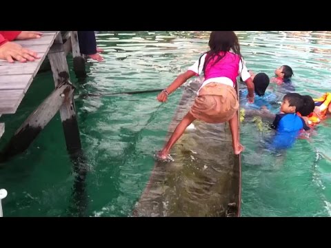 როგორ გადაარჩინა პატარა გოგონამ ოჯახი ჩაძირვას