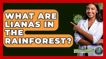 What Are Lianas In The Rainforest? - Earth Science Answers
