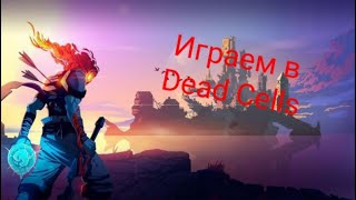 играем в Dead Cells