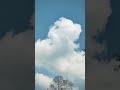 Cloud therapy #youtube #youtubeshorts #viral #viralvideo #viralshorts #reels