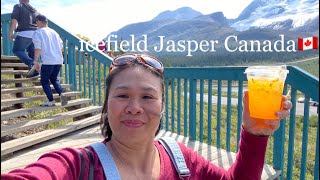 ICEFIELD JASPER ALBERTA CANADA??SUMMER CANADA