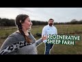 He converted old cattle fields into a regenerative sheep farm