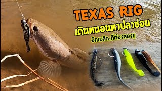 Texas rig เดินหนอนหาปลาช่อน!! อีกหนึ่งเบสิคที่นักตกปลาต้องลอง มือใหม่ต้องจัด!!