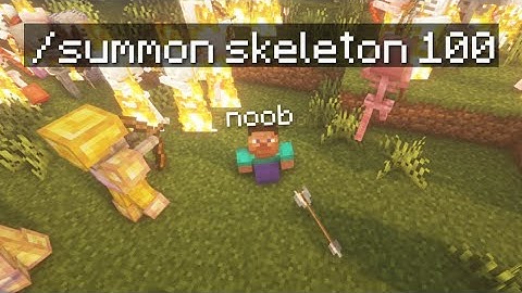 Trolling a Minecraft Noob on my Server