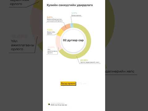 02-р сарын төсөв | February Budget | #Shorts