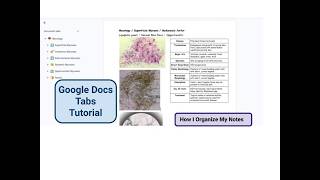 Details How I Use Google Docs Tabs to Organize My Notes (Study Tips & Creating a Digital Atlas for CLS) Update