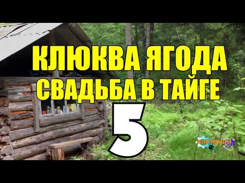 ДВА БРАТА В ТАЙГЕ | СВАДЬБА В ДЕРЕВНЕ | ТРИ ПОДРЯД | ЖИЗНЬ ПРОЖИТЬ НЕ ПОЛЕ ПЕРЕЙТИ 5