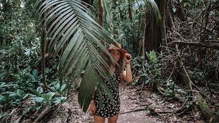 WE MADE IT TO THE JUNGLE IN MEXICO!