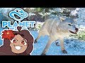 A GLACIER Battle of Wolves?! 🐏 Planet Zoo: Ice Ice Outpost • #17