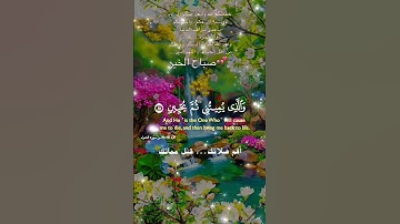 تلاوة خاشعة عطرة مباركة جميلة عذبة للشيخ فارس عباد ماتيسر من سورة الشعراء