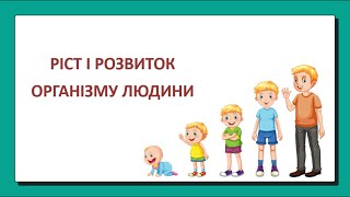 Ріст та розвиток організму людини