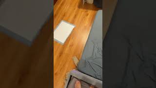 Im trying to process what happened