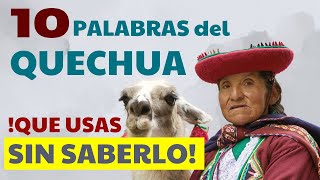 10 words of QUECHUA origin that you use every day in SPANISH! 🧐