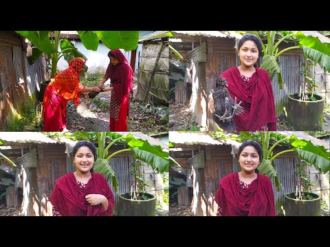 Village young women amazing chicken processing Skills | woman butcher