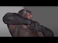 King kong vs irex fight animation