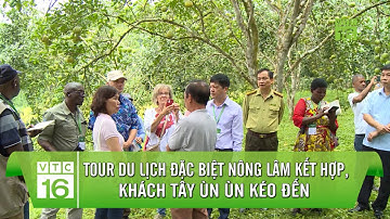 Tour du lịch độc đáo nông lâm kết hợp, khách Tây ùn ùn đến tham quan | VTC16