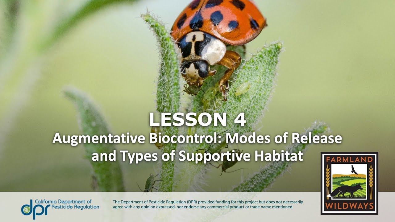 Augmentative Biocontrol Webinar: Modes of Release and Types of Supportive Habitat