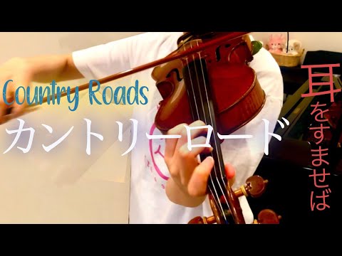茶位幸信　バイオリン　1966 3/4 ジブリ　耳をすませば ジブリ 耳をすませば 茶位幸信バイオリン 1966 3/4 - メルカリ