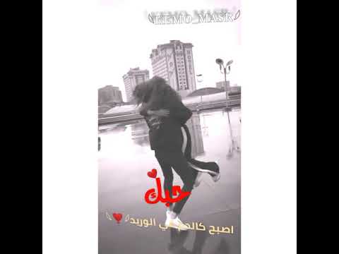 حالات واتس رومانسيه 2021 اغنيه اويلي ويلي قلبي انا غويك Kemo Masr