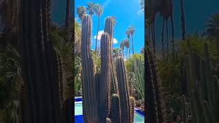 Incredible Jardin Majorelle - Yves Saint Laurent Mansion (Marrakech Morocco) #shorts #marrakech #tvl