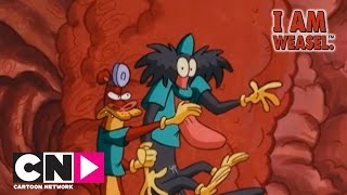 The Incredible Shrinking | I Am Weasel | Cartoon Network