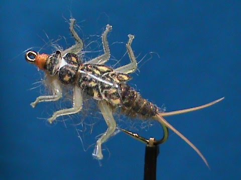 Realistic Stonefly Nymph Wing Buds & Back - FrostyFly