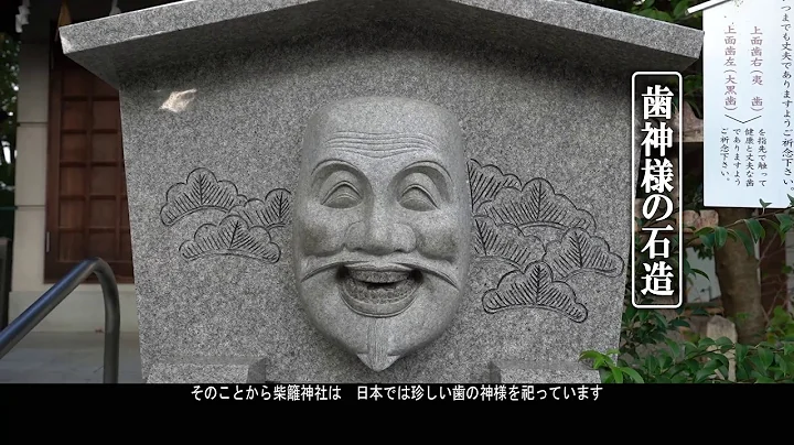 松原市観光PR动画　通常编 - 天天要闻