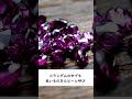 30秒宝石講座💎#宝石 #宝石ルース #gemstone #crystals