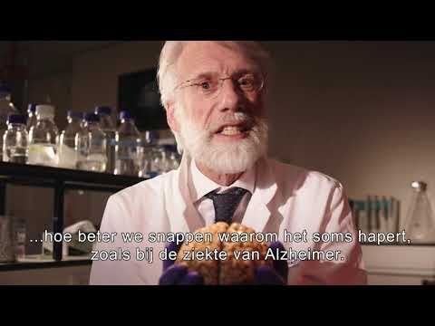 De Ziekte van Alzheimer afremmen