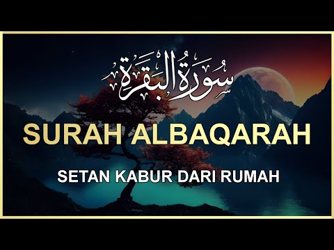 Surah Al Baqarah Dengan Suara Indah Membuat Hati Tenang 