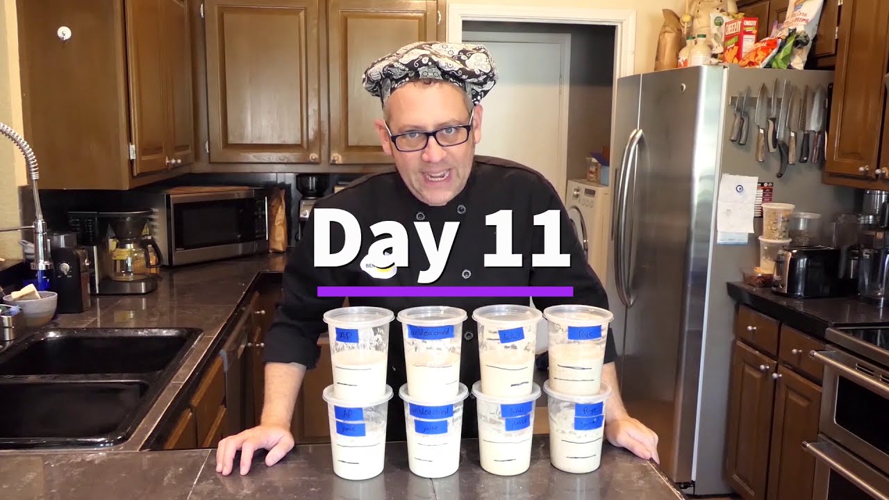 Sourdough Starter, part 2 - YouTube