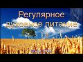 08. "Регулярное духовное питание". Коледа. В. Ю. МСЦ ЕХБ