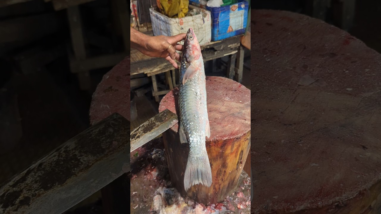 Amazing Batta Fish Cutting Skills In Bangladesh Local Fish Market 