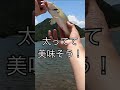 釣ったバスの腹を裂いたらヤバい物が出てきた