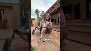 Cuando vienen a conocerlos… pasa esto 🥺