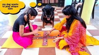 my dog wants to play with sapna and anshu|funny dog videos.