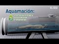 Aquamación: alternativa ecológica a la cremación e inhumación