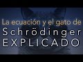 La ecuación y el gato de Schrödinger EXPLICADO (sin fórmulas)