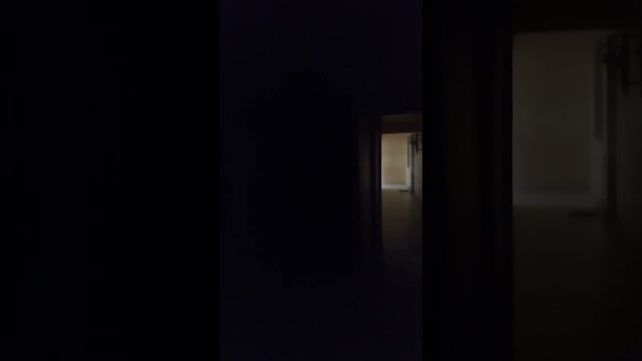 LOUD NEIGHBORS AT NIGHT WITH THE DISTURBANCE AGAIN. If you have this kind, just buy headphones 😅