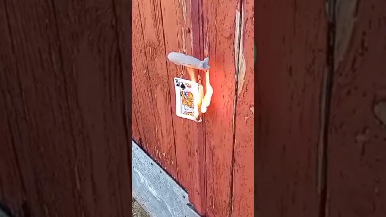 Alice in borderland King of spades Pik König 