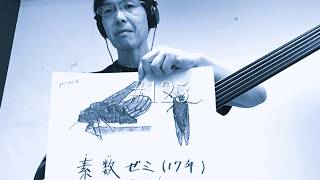 125】【BASSNINJA log】 【QITI0613-05】Quagero Imazawa/ 今沢