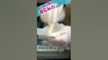 [월드뉴스] 바다거북이 인공 지느러미 달고 헤엄 도전#shorts