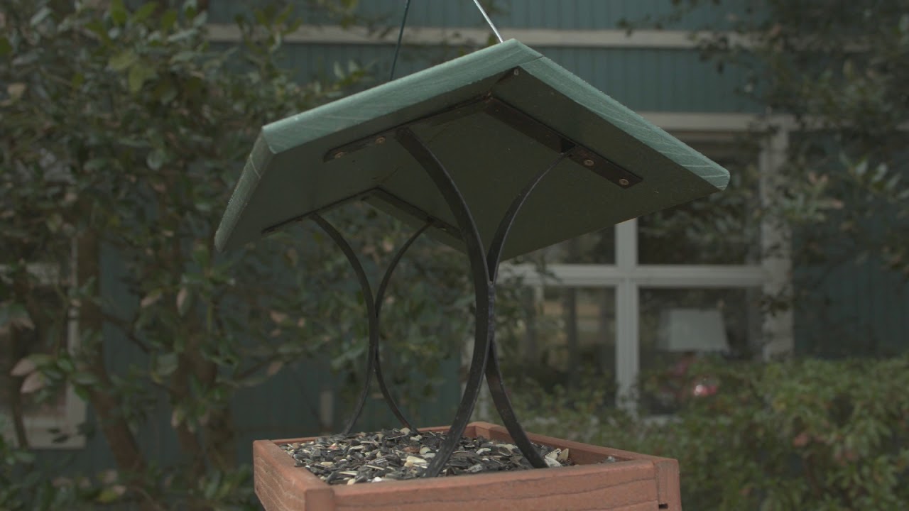 Wild Bird Center's Going Green Feeder