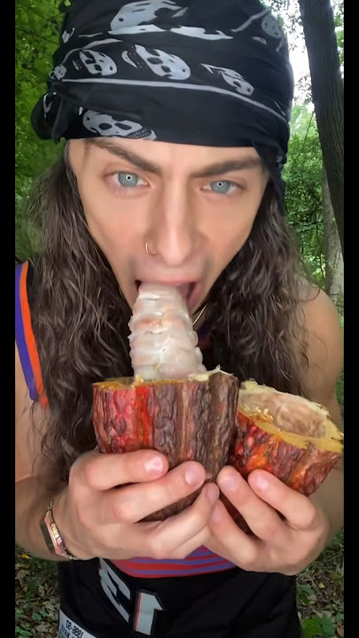 CHOCOLATE FRUIT / CACAO