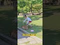奈良公園の観光客の鹿が大好きです 🦌❣️👌