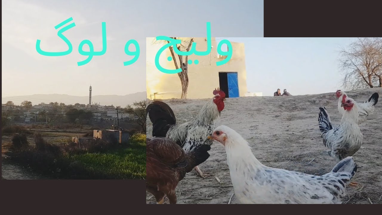 Beauty of my village  |Jhelum village view