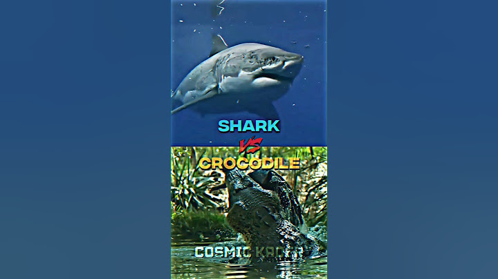 Shark VS Crocodile। #shorts