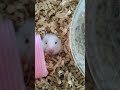 うわ、寝てたわ!