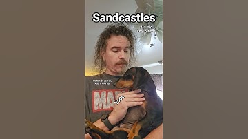 Sandcastles, Autistic Realizations, Walton B. James, ASD & CPTSD #autism #cptsd #shorts #wtf #short