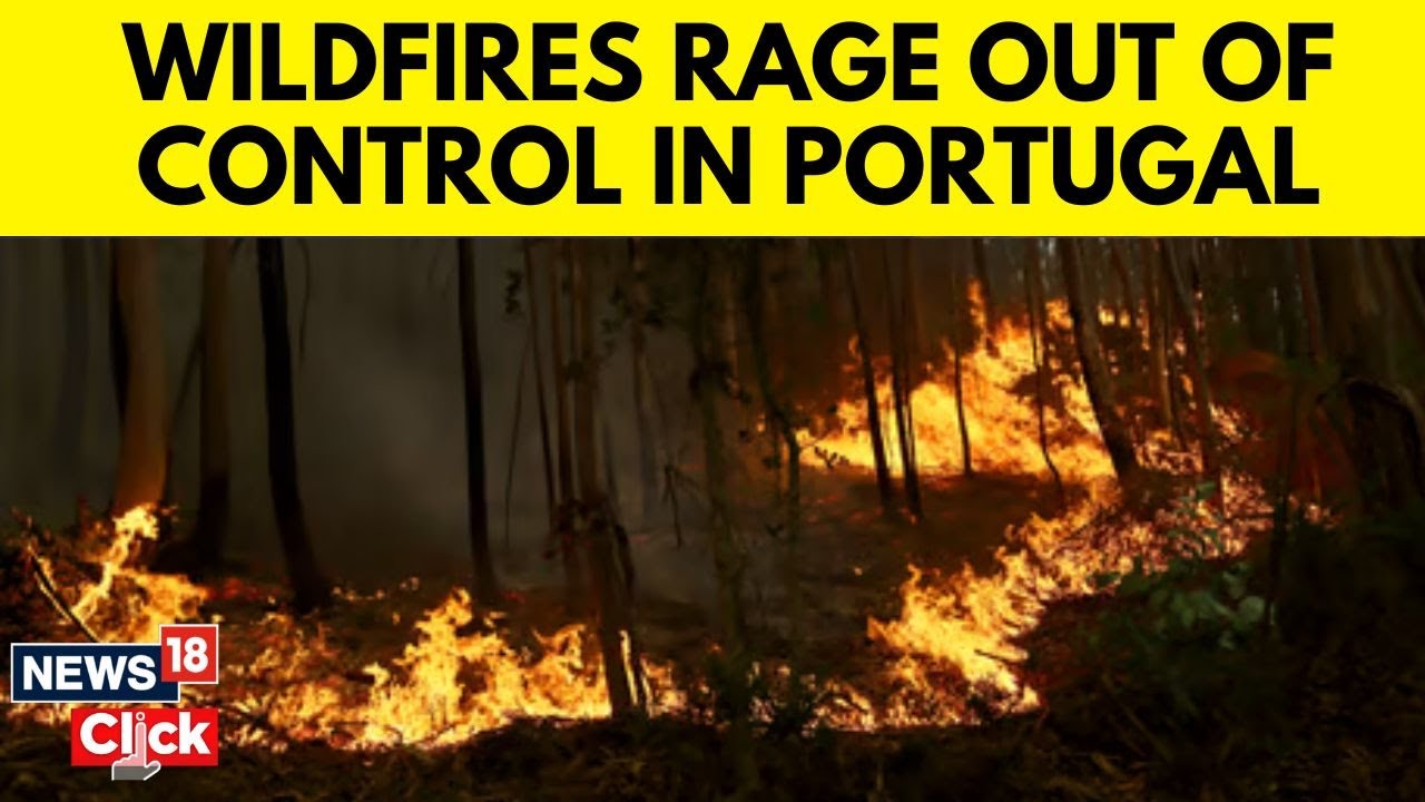Portugal Wildfires: Portugal Declares State Of Calamity As Wildfires Rage Out Of Control | N18G